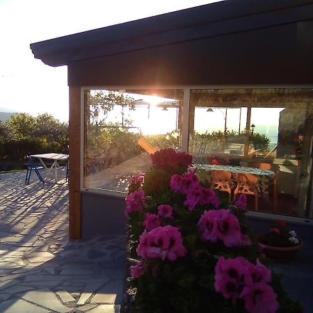 Seacily Etna House Villa Пиедимонте Етнео Екстериор снимка