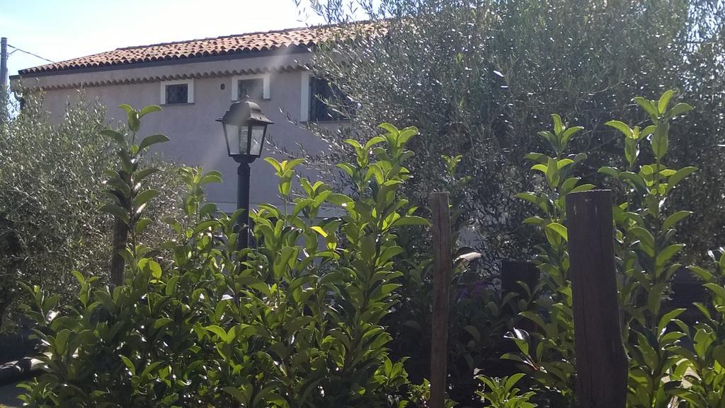 Seacily Etna House Villa Пиедимонте Етнео Екстериор снимка