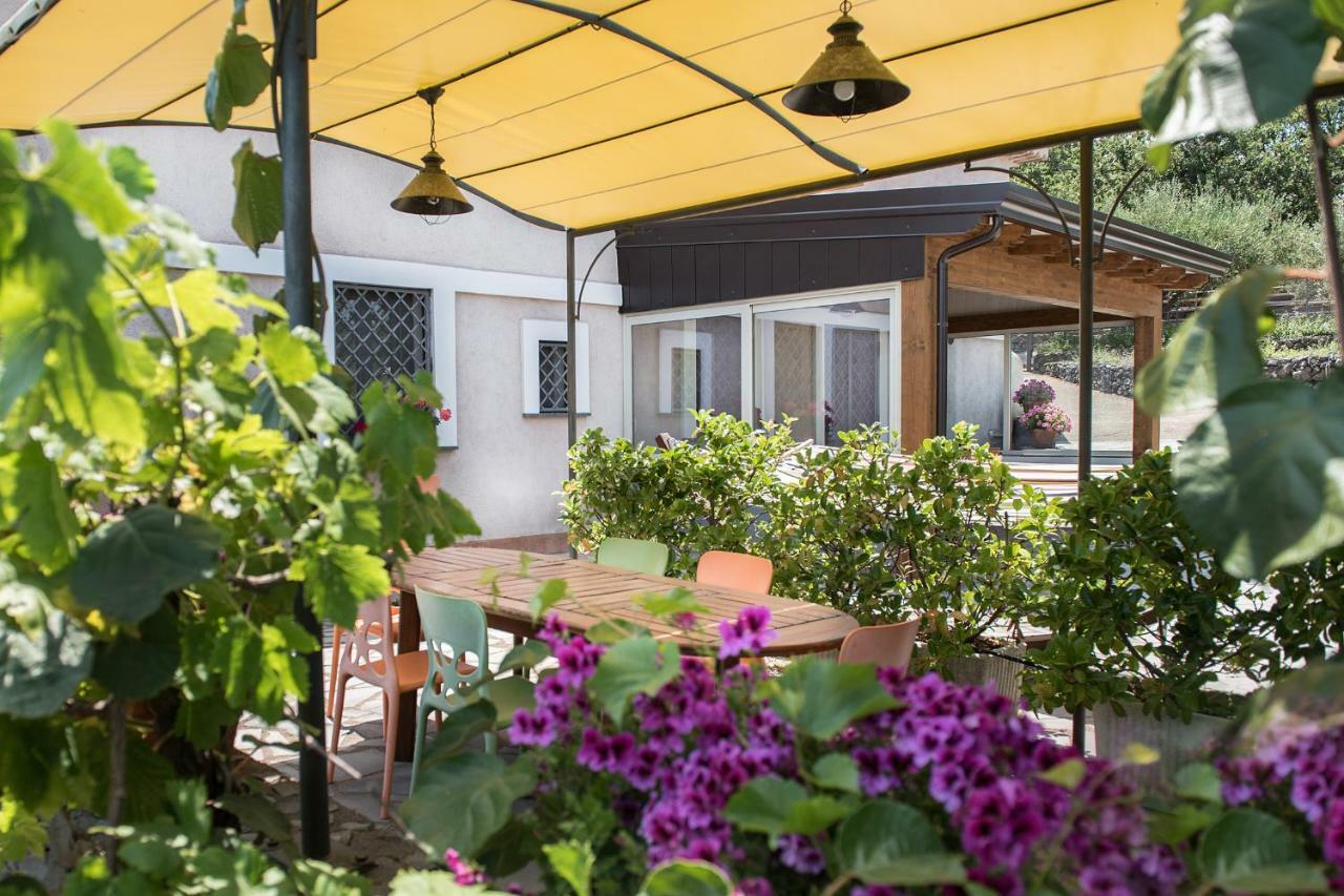 Seacily Etna House Villa Пиедимонте Етнео Екстериор снимка